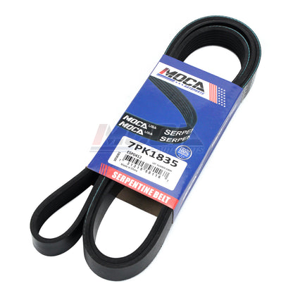 MOCA Serpentine Belt - ESP0412