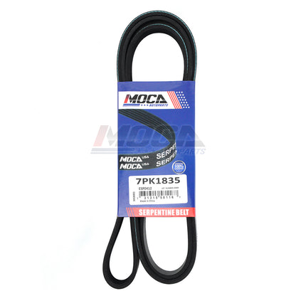MOCA Serpentine Belt - ESP0412