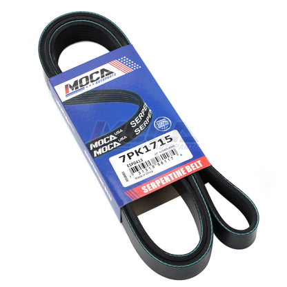 MOCA Serpentine Belt - ESP0413