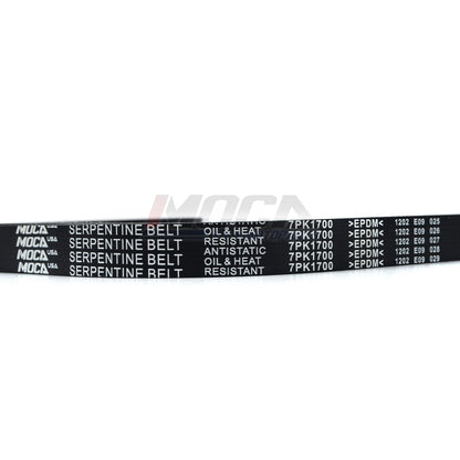 MOCA Serpentine Belt - ESP0414