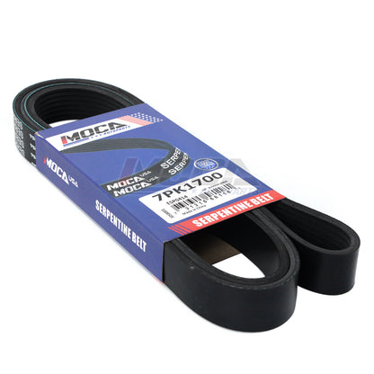MOCA Serpentine Belt - ESP0414