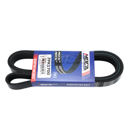 MOCA Serpentine Belt - ESP0414