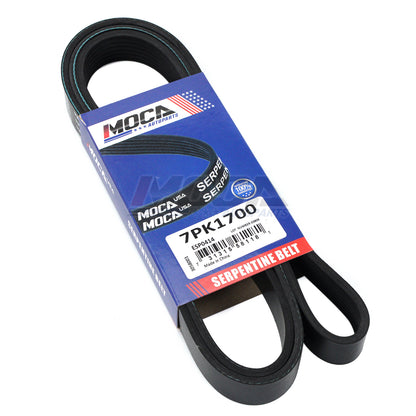 MOCA Serpentine Belt - ESP0414