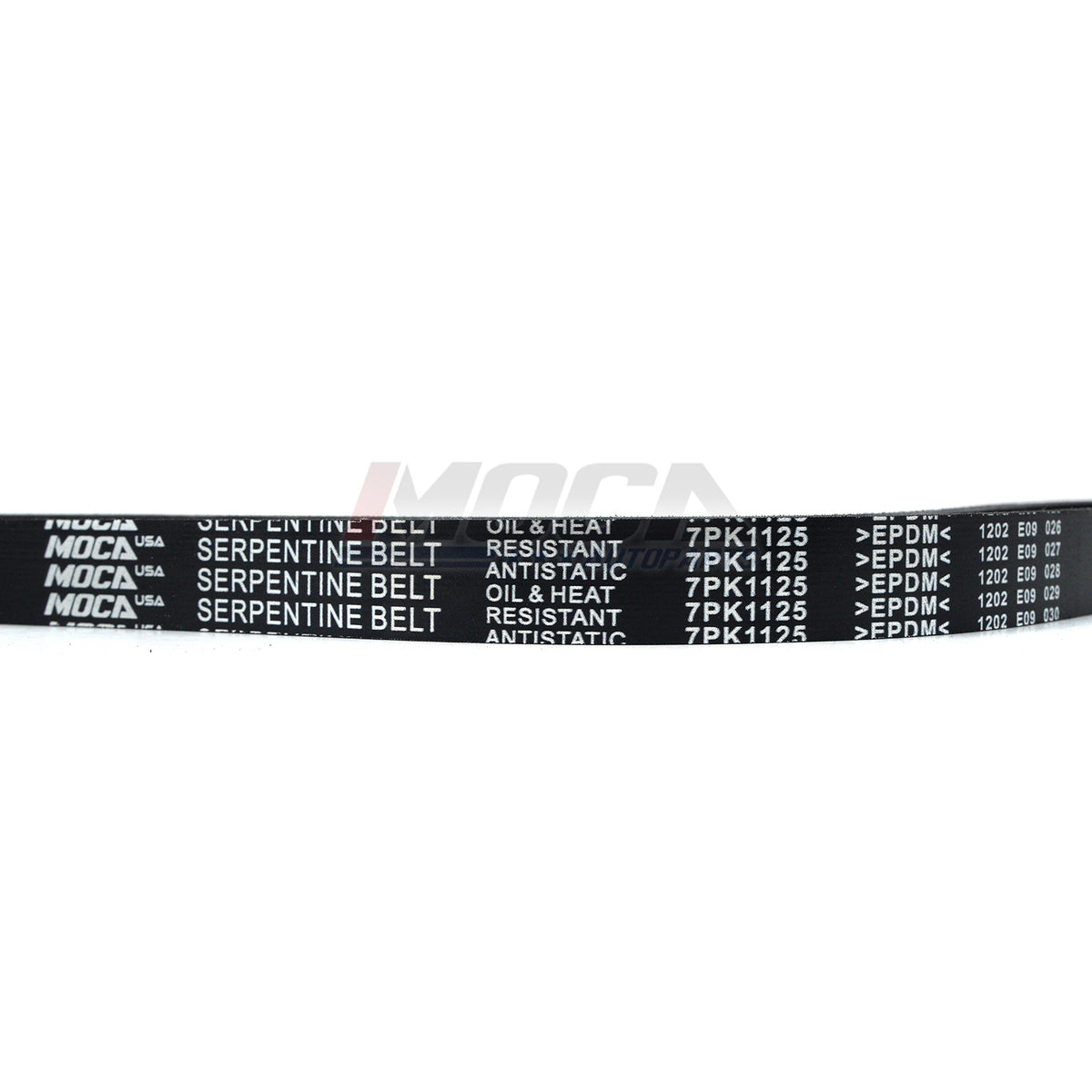 MOCA Serpentine Belt - ESP0416