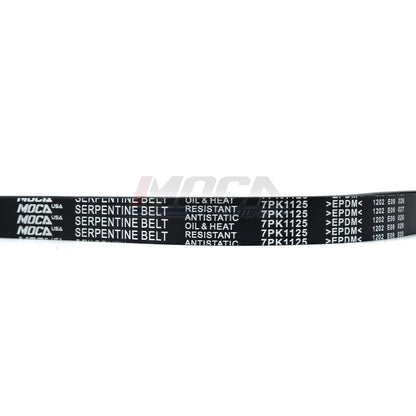 MOCA Serpentine Belt - ESP0416