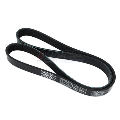 MOCA Serpentine Belt - ESP0416