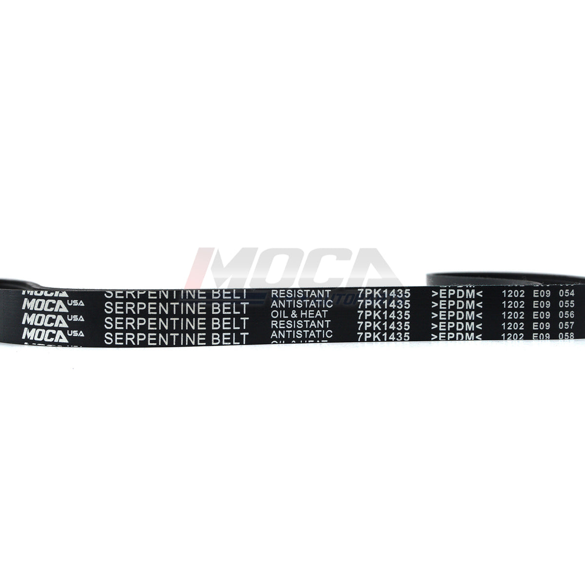 MOCA Serpentine Belt - ESP0417