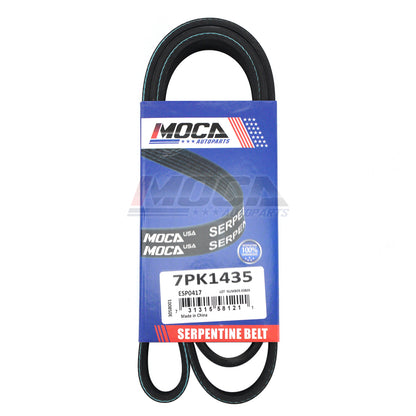 MOCA Serpentine Belt - ESP0417