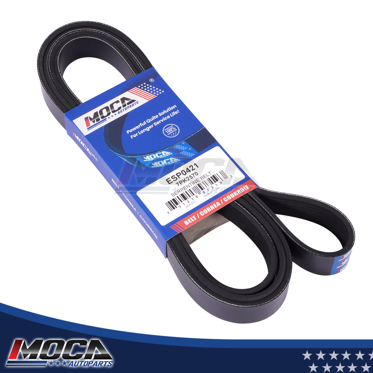 MOCA Serpentine Belt - ESP0421