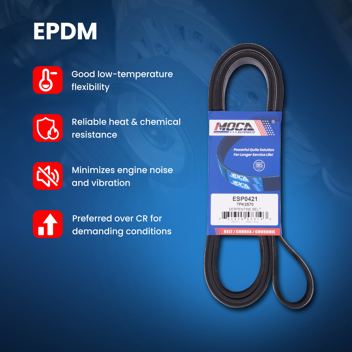 MOCA Serpentine Belt - ESP0421