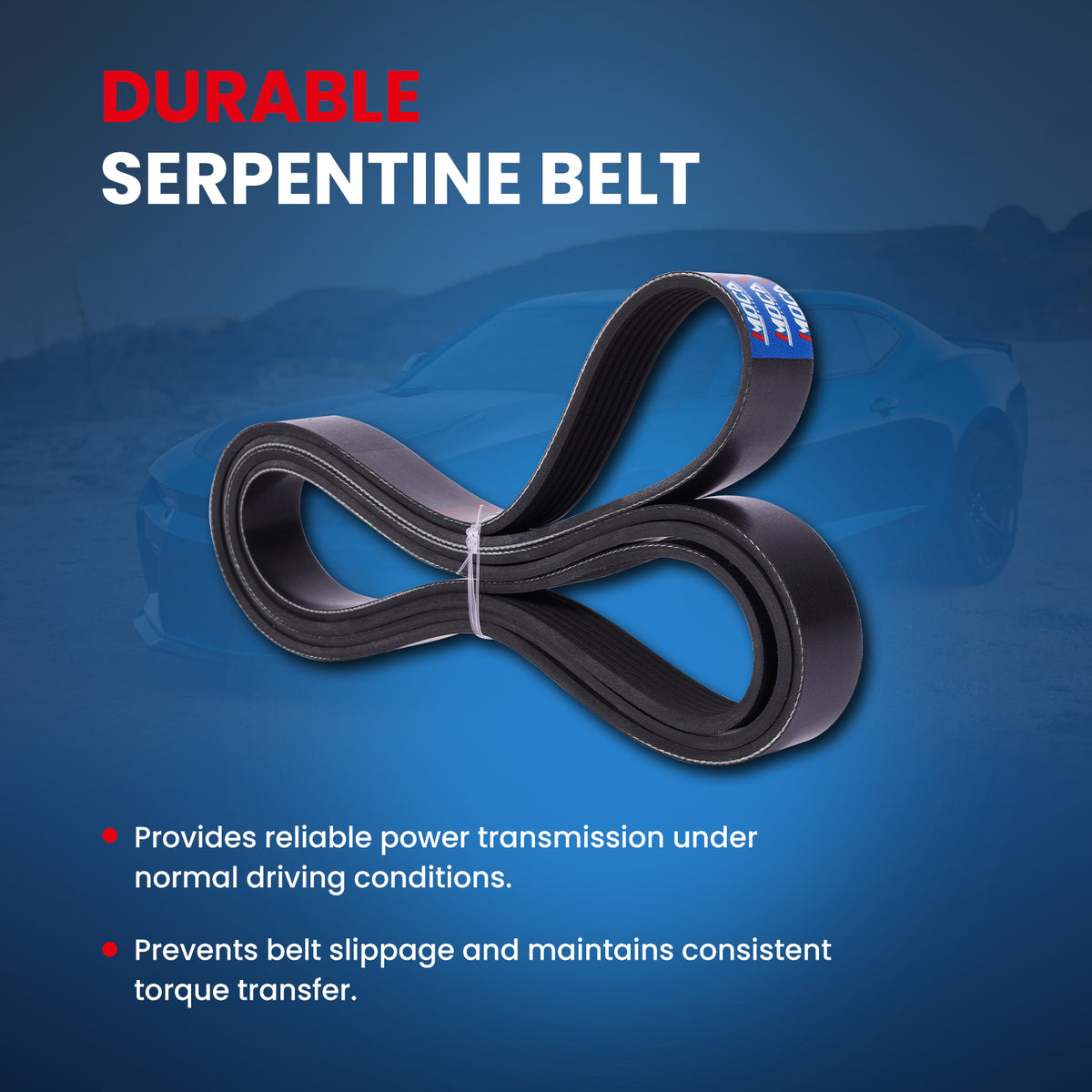 MOCA Serpentine Belt - ESP0421