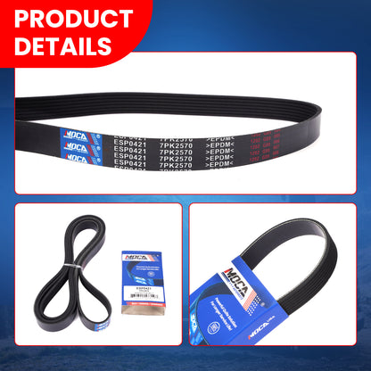 MOCA Serpentine Belt - ESP0421