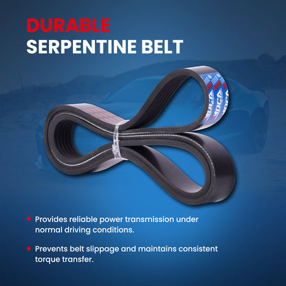 MOCA Serpentine Belt - ESP0422
