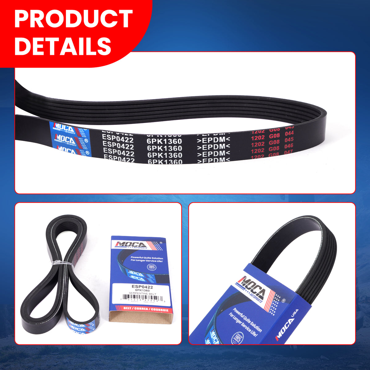 MOCA Serpentine Belt - ESP0422