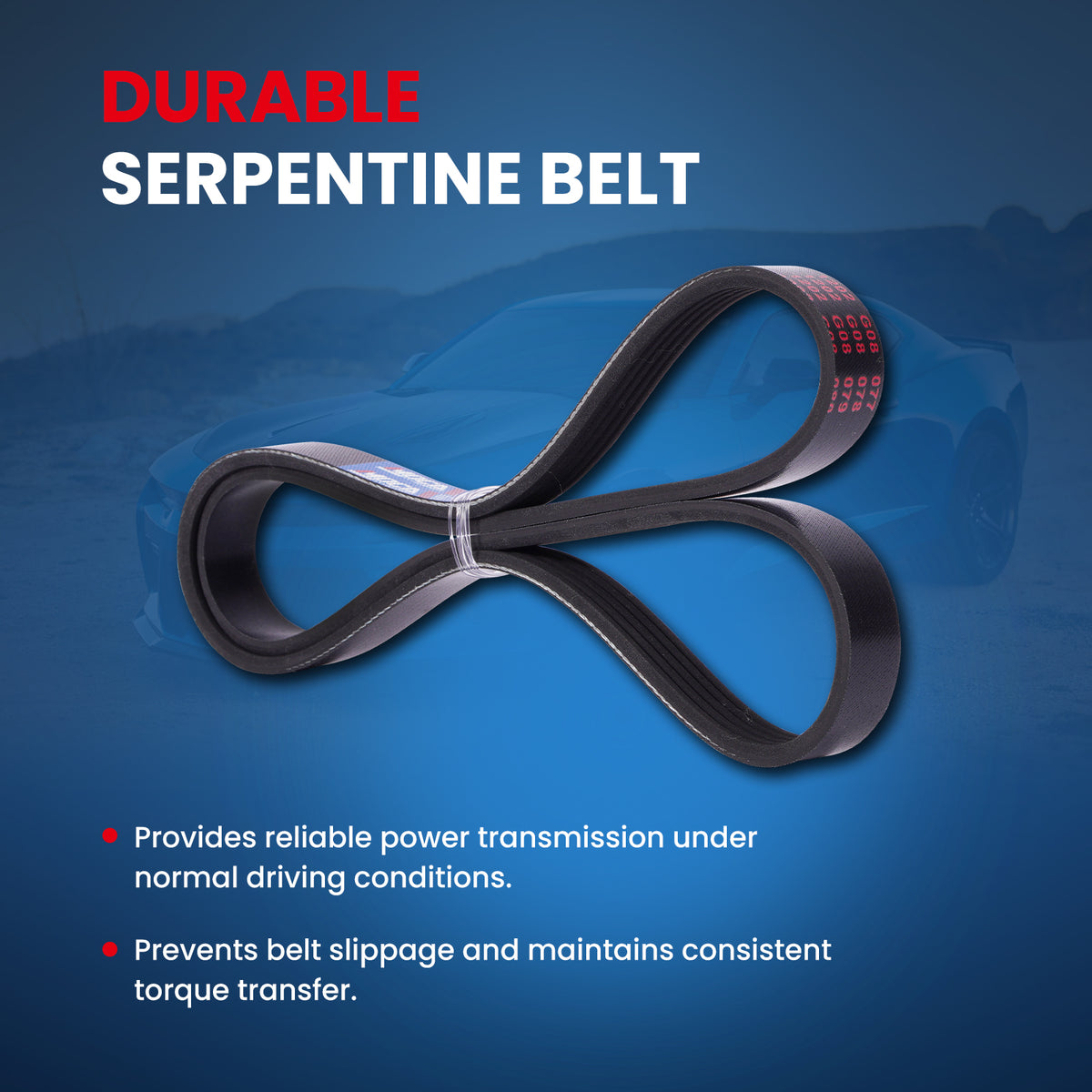 MOCA Serpentine Belt - ESP0423