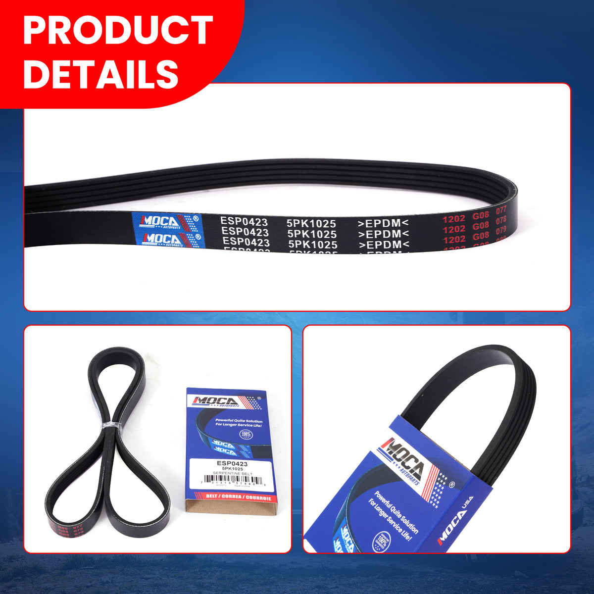 MOCA Serpentine Belt - ESP0423
