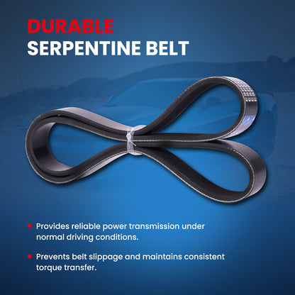 MOCA Serpentine Belt - ESP0425