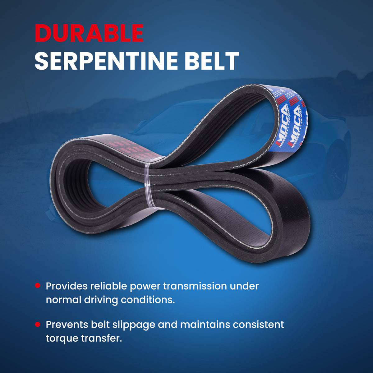 MOCA Serpentine Belt - ESP0427