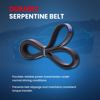 MOCA Serpentine Belt - ESP0428