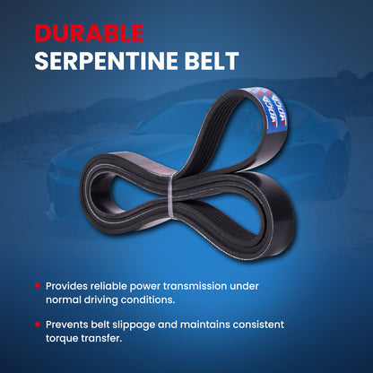 MOCA Serpentine Belt - ESP0429