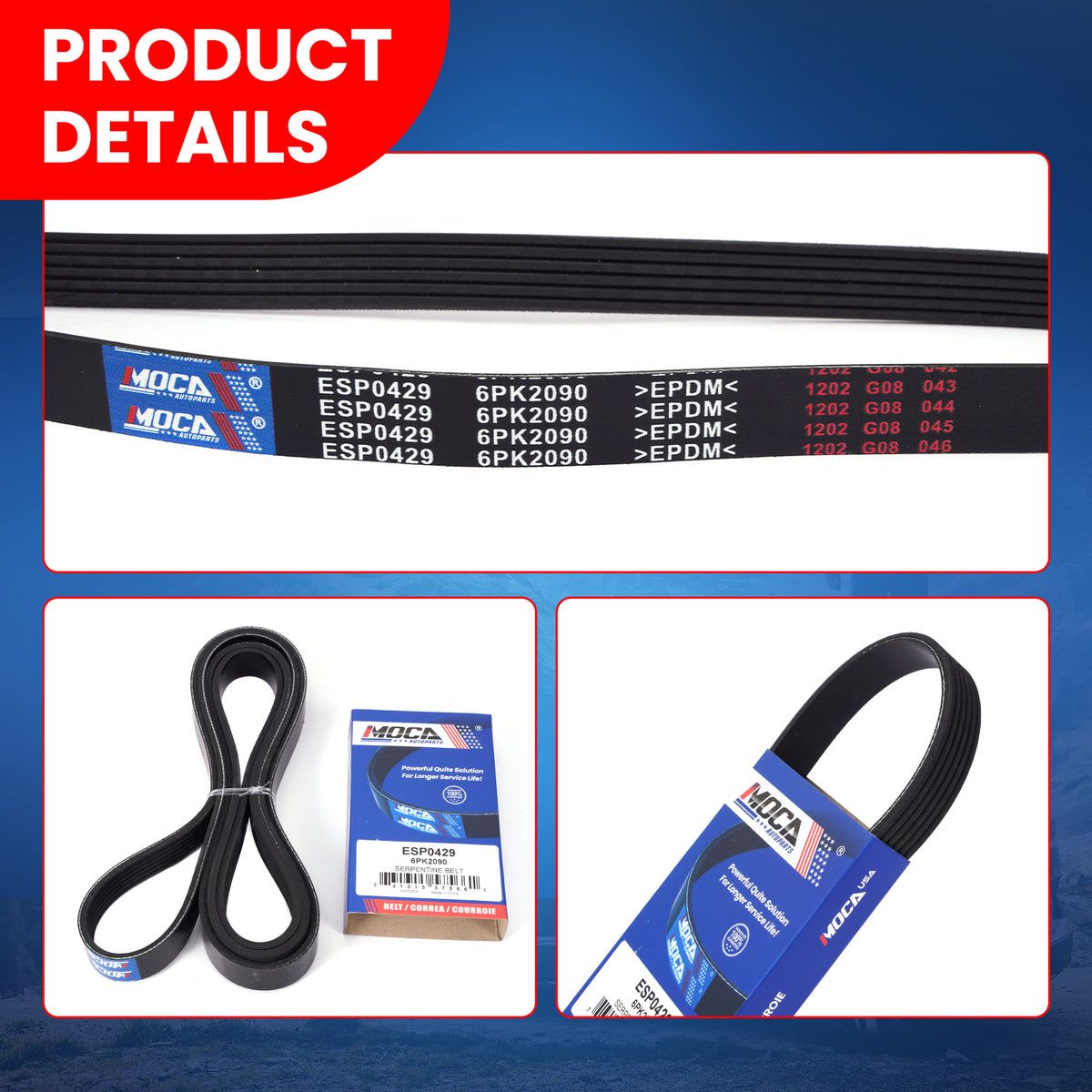 MOCA Serpentine Belt - ESP0429