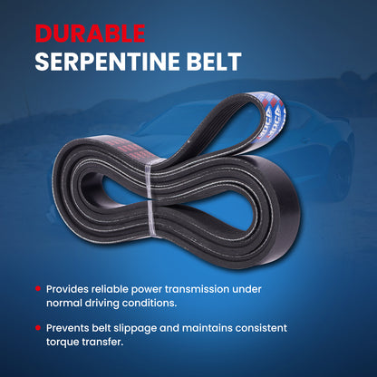 MOCA Serpentine Belt - ESP0430