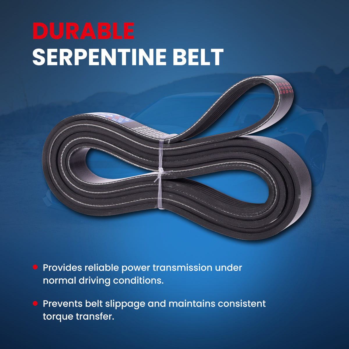 MOCA Serpentine Belt - ESP0431