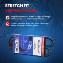 MOCA Serpentine Belt - ESP0434SF