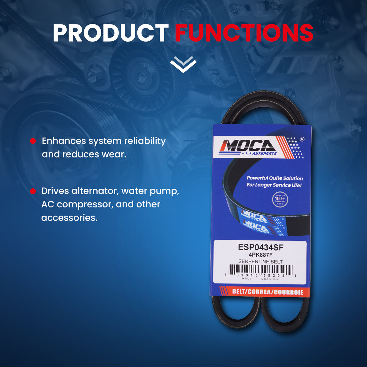 MOCA Serpentine Belt - ESP0434SF