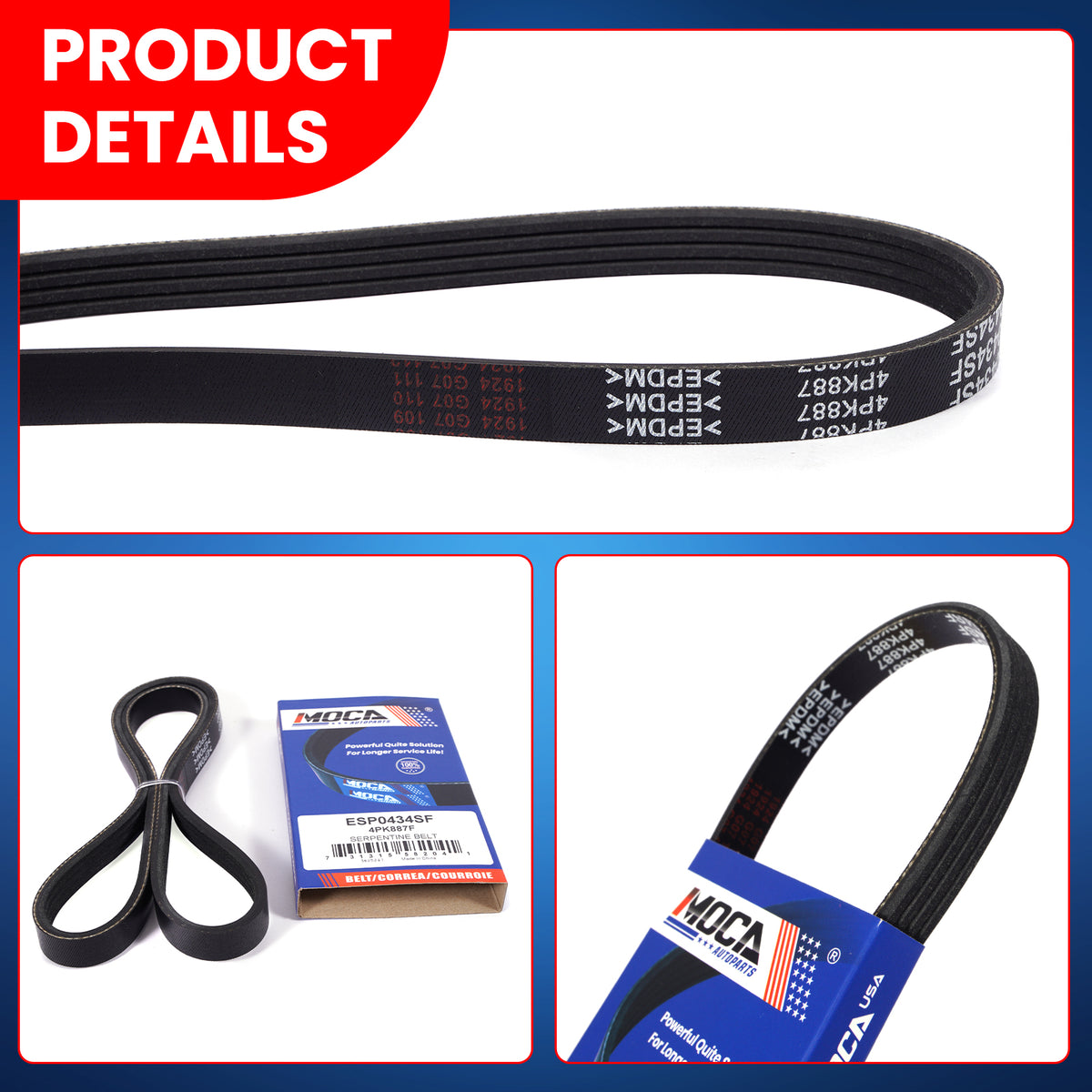MOCA Serpentine Belt - ESP0434SF