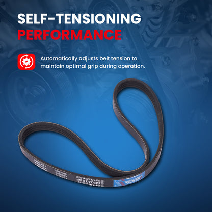 MOCA Serpentine Belt - ESP0436SF