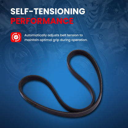 MOCA Serpentine Belt - ESP0437SF