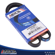 MOCA Serpentine Belt - ESP0439SF