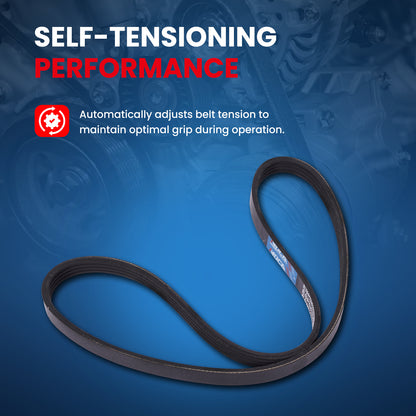 MOCA Serpentine Belt - ESP0439SF