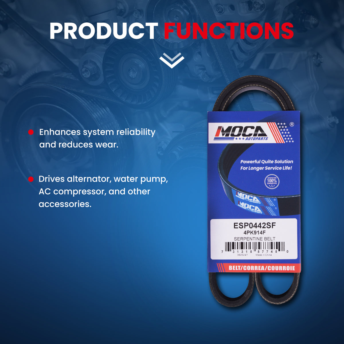 MOCA Serpentine Belt - ESP0442SF