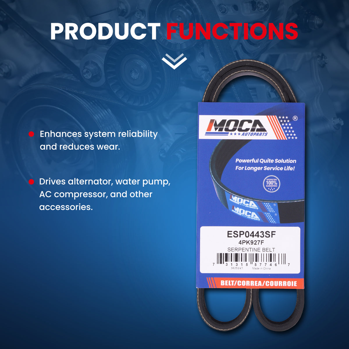 MOCA Serpentine Belt - ESP0443SF