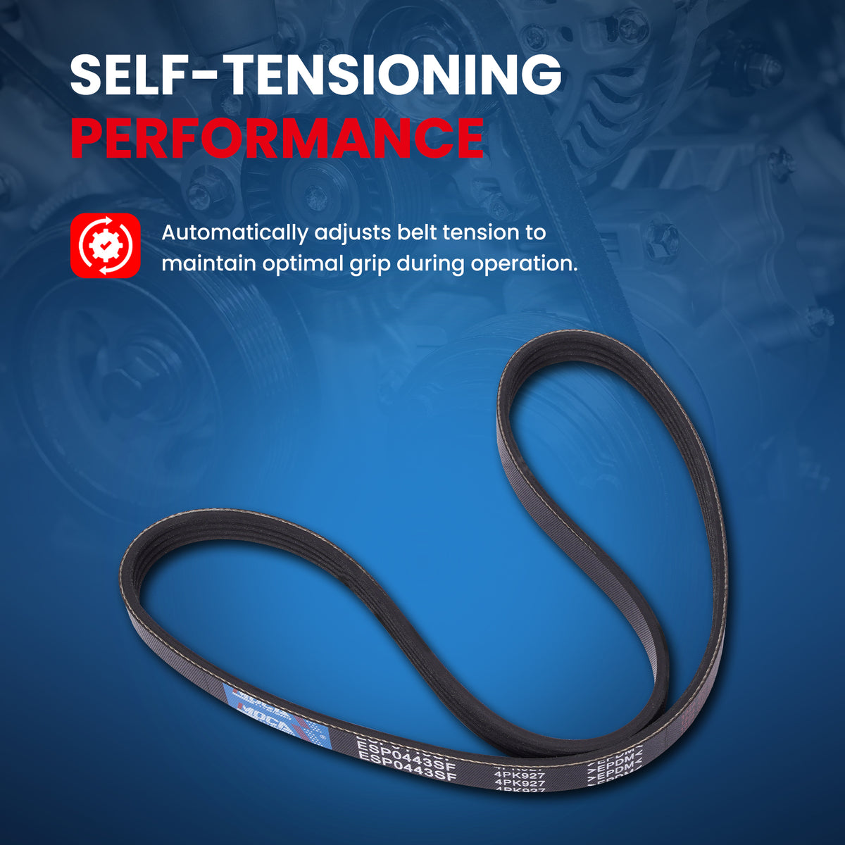 MOCA Serpentine Belt - ESP0443SF