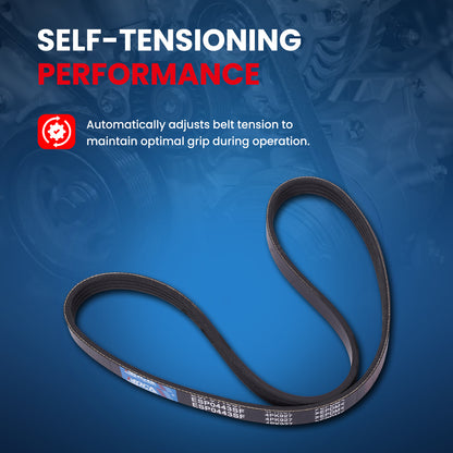 MOCA Serpentine Belt - ESP0443SF
