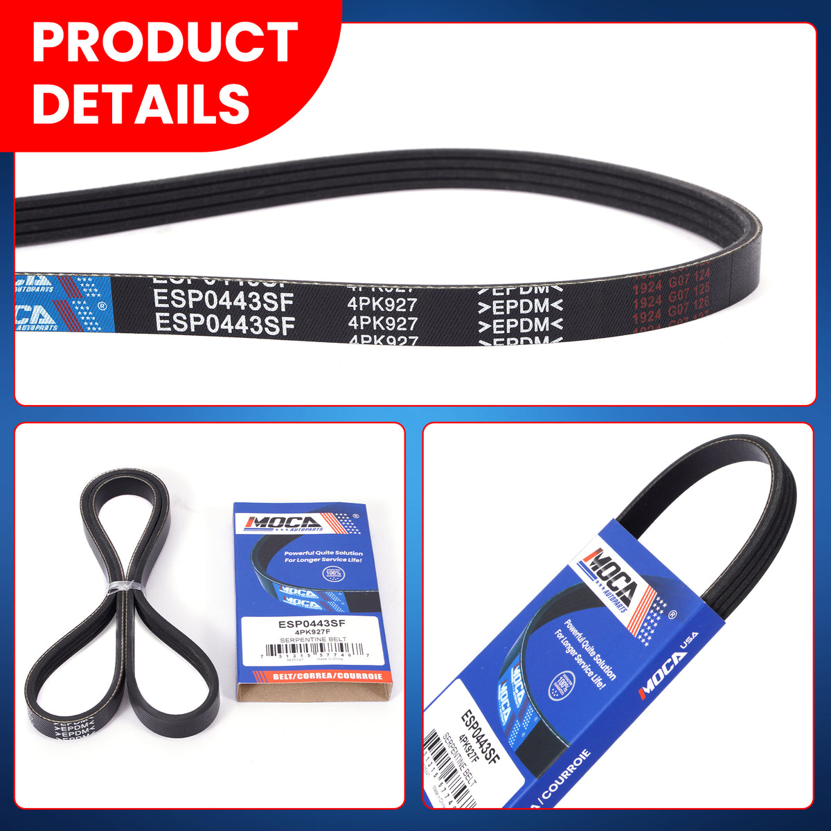 MOCA Serpentine Belt - ESP0443SF