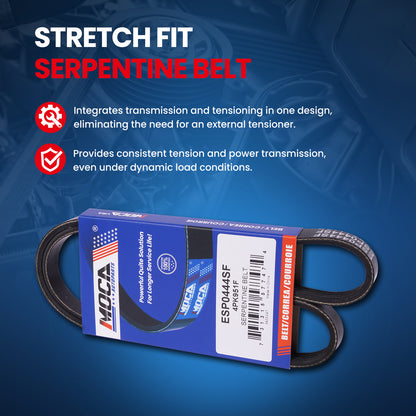 MOCA Serpentine Belt - ESP0444SF