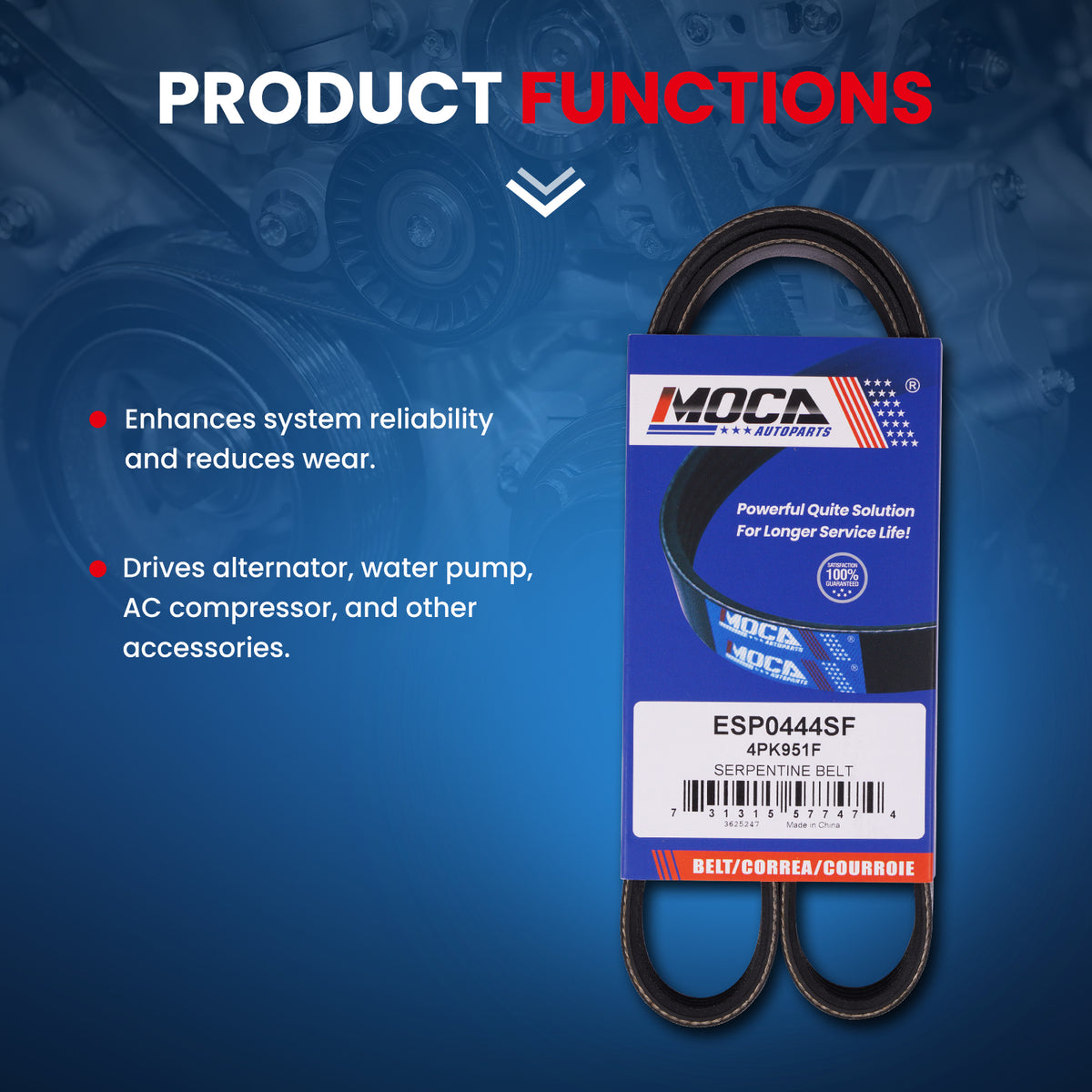 MOCA Serpentine Belt - ESP0444SF
