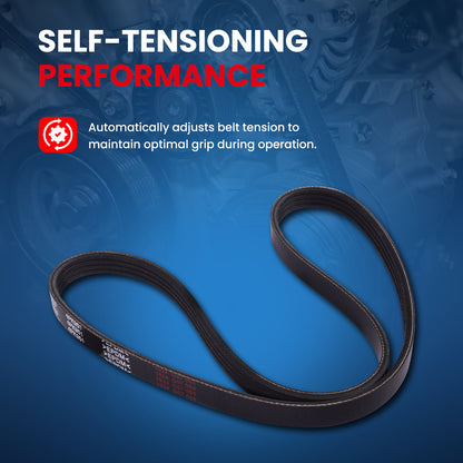 MOCA Serpentine Belt - ESP0444SF