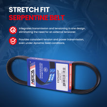MOCA Serpentine Belt - ESP0445SF