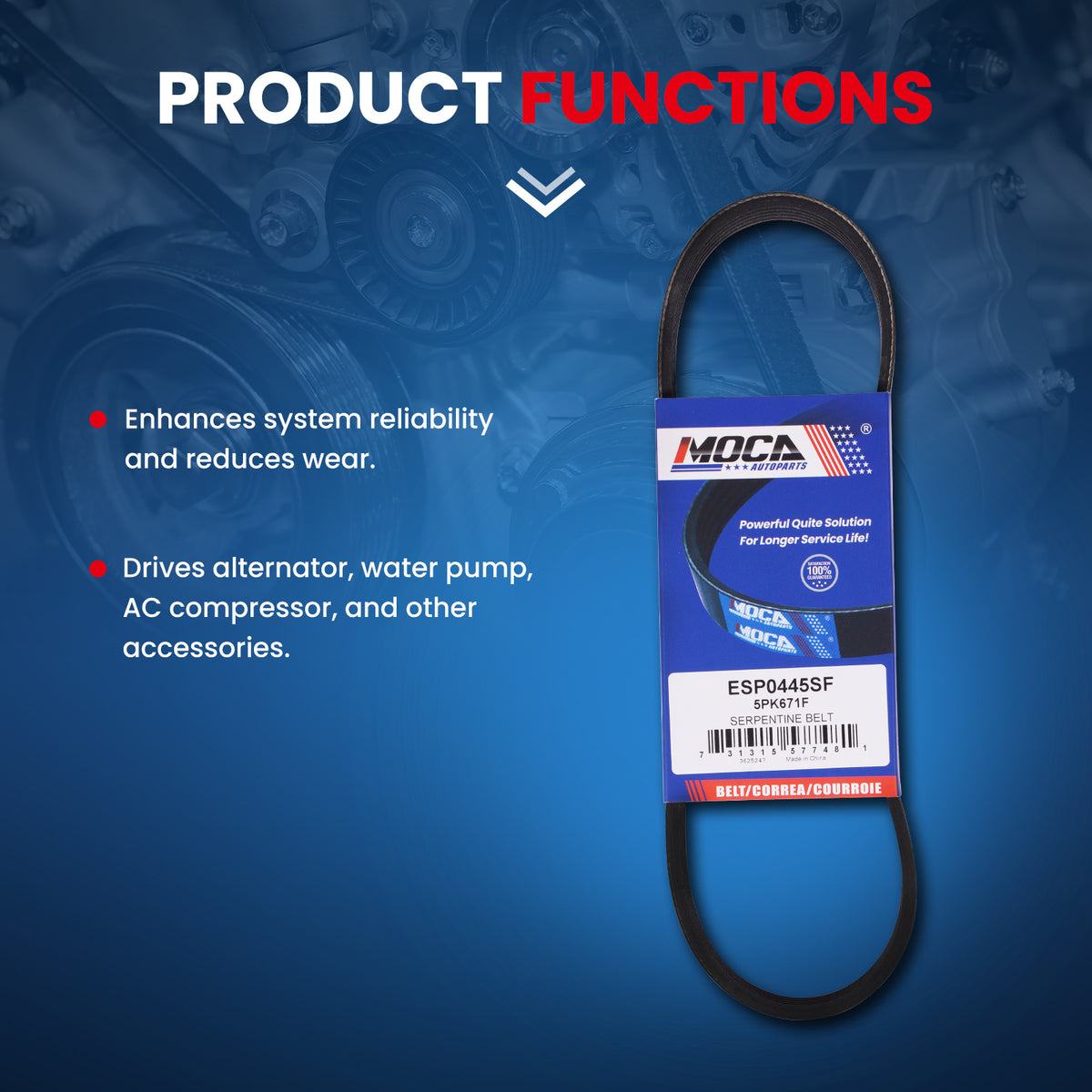 MOCA Serpentine Belt - ESP0445SF