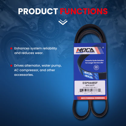 MOCA Serpentine Belt - ESP0448SF