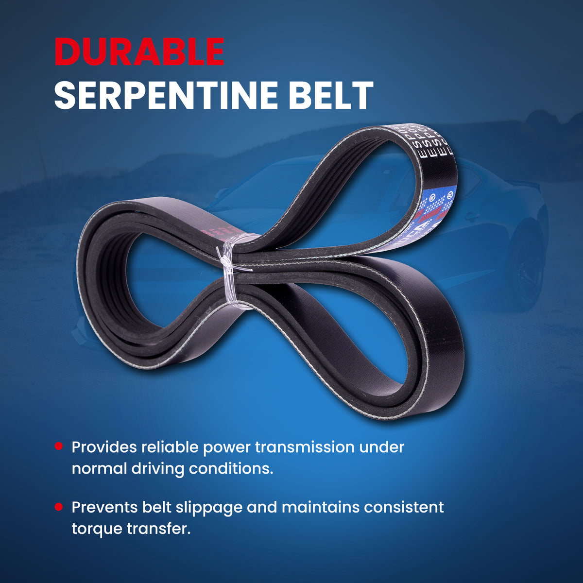 MOCA Serpentine Belt - ESP0452