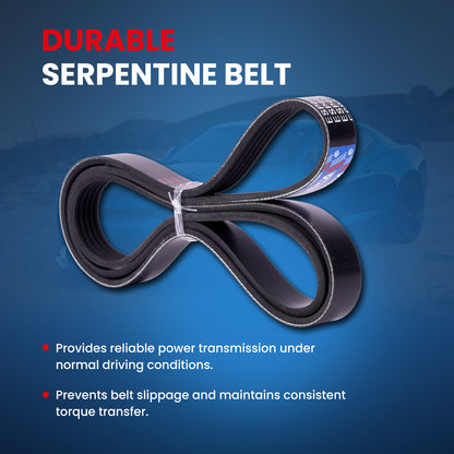 MOCA Serpentine Belt - ESP0452