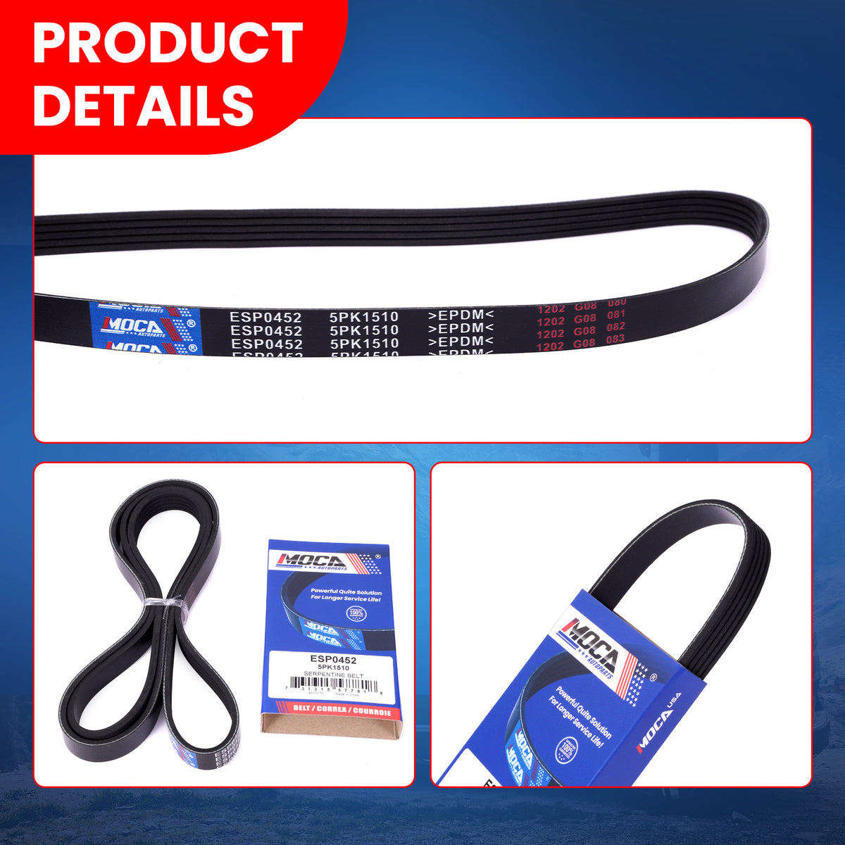 MOCA Serpentine Belt - ESP0452