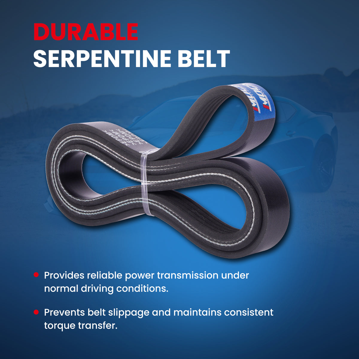 MOCA Serpentine Belt - ESP0453