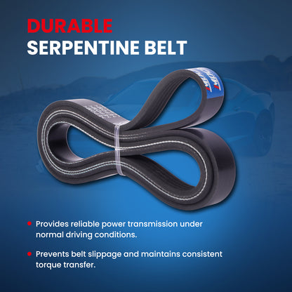 MOCA Serpentine Belt - ESP0453
